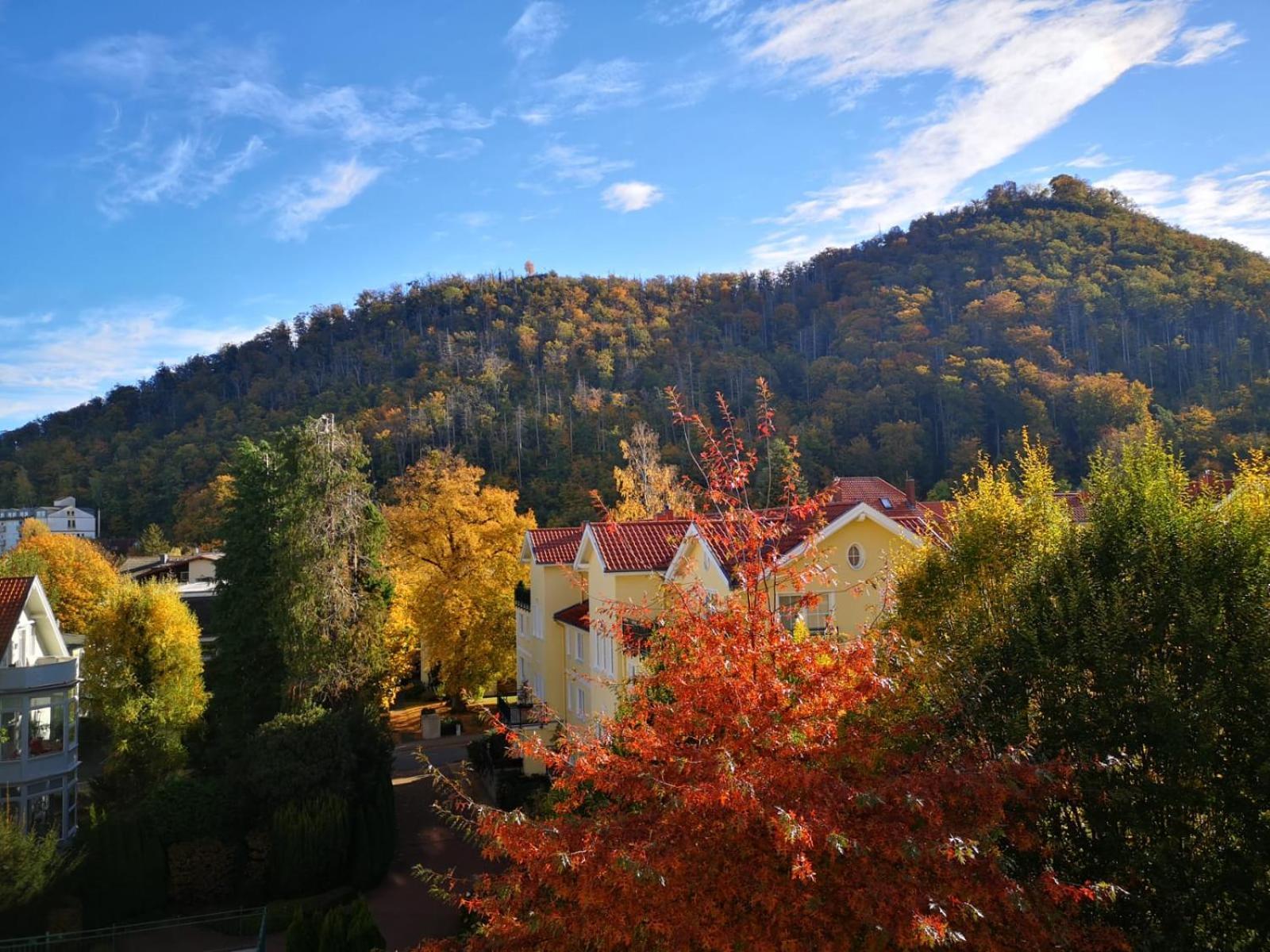 Bergliebe Apartment Bad Harzburg Bagian luar foto